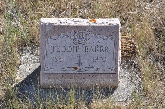 Baker, Teddie (Swan Valley)
