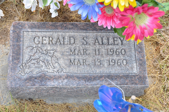 Alley, Gerald S. (Laketown)