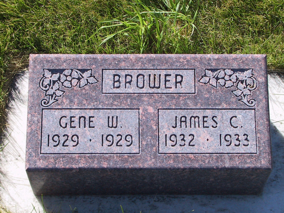 Brower, Gene W. And James C