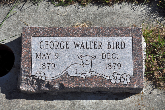 Bird, George Walter (Dingle)