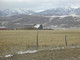 Barn Again 14.jpg