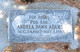 Adams, Andrea Dawn (Poo Loo) (Montpelier)