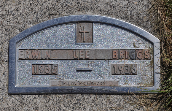Briggs, Erwin Lee