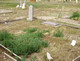 Bell Family Plot (1) (Almy)