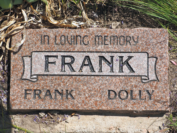Frank, Frank (Dolly)