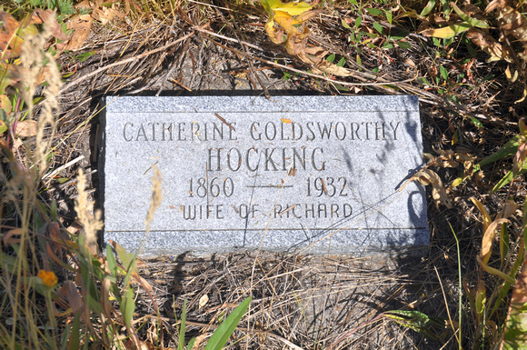 Hocking, Catherine Goldsworthy (Wayan)