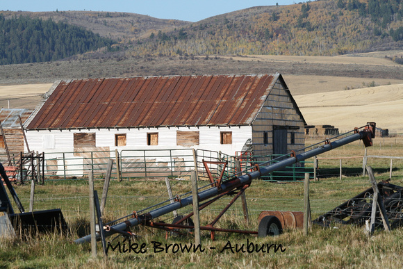 Barns (2016), Brown, Mike (Auburn)