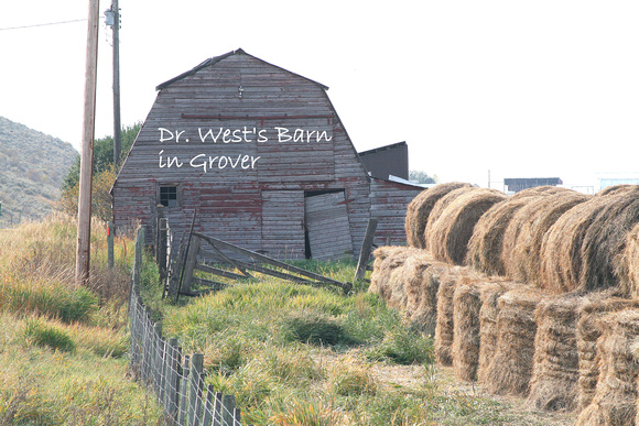 Barns (2016), Dr. West (Grover)