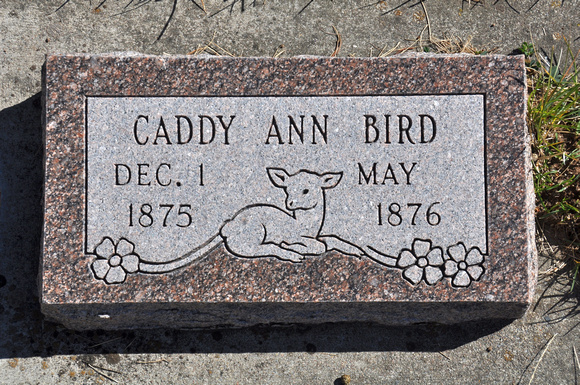 Bird, Caddy Ann (Dingle)