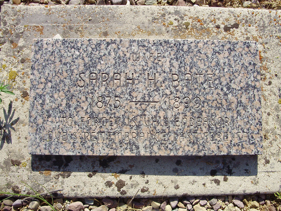 Bate, Sarah H. (Almy)