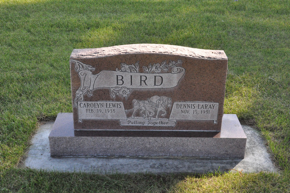 Bird, Dennis LaRay (Carolyn Lewis) (1) (Dingle)